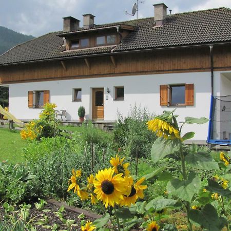 Appartements Hoferhof Niederdorf Buitenkant foto